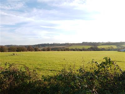 Picture 11